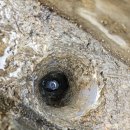 본리동행정복지센터 이미지