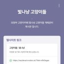 빛나냥 이미지