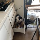 오씨주택 이미지