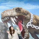 영심이닭갈비 이미지