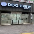 독크루 | 광주 애견카페 독크루 남구점 후기:) 반려견과 편하게 쉬기 좋았던 공간