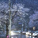 이변 이미지