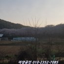 양성자동차공업사 이미지