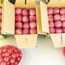 진선미농장 이미지