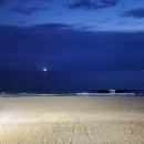 모텔블루 이미지