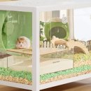 골든햄스터분양 햄츠비 | 골든햄스터 분양 후기｜초보 보호자가 꼭 알아야 할 준비물과 현실 조언