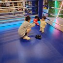 한국위너복싱 이미지