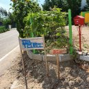 푸른다온펜션 이미지