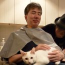 엔진미용실 이미지