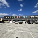 법원 앞 해남공원 | 해남 여행기② 대동명품한우. 대흥사. 삼산주조장. WAKA. 이왕이면오리