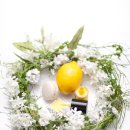 끌림365의원 이미지