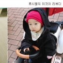 분당중앙 동물병원 이미지