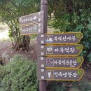 구덕산책로 숲길 네이버블로그
