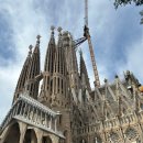 연두민박 | [스페인 바르셀로나🇪🇸] 가우디 반일 투어 & 사그라다 파밀리아 내부 투어 후기 (마이리얼트립 메멘토투어)