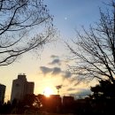 영등포공원 이미지