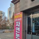 바이빈 이미지