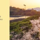 파크 블러썸 이미지