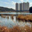 마동유원지둘레길 네이버블로그