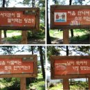 불암산로59번길 이미지
