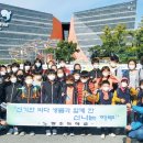노량초등학교 이미지