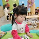 양지약국 이미지