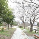 하해가 | 광주 장어구이 맛집 서구 매월동 하해가 시즌2