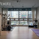 켈리피티