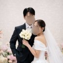 인터그라피 | 아펠가모 선릉 미닝풀 그라피 본식 원판 스냅 내돈내산