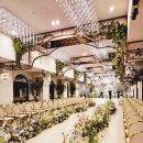 11650-16-150-22 | [강남 밝은홀] 아르베웨딩 27년 상반기 파격적인 할인 견적 공유 및 당일계약 혜택까지 총정리