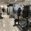 헬스니즈