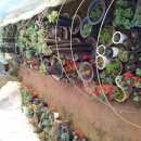 안이하우스 이미지