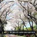 신도건어물 이미지