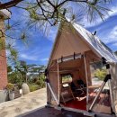 그린브릭 이미지