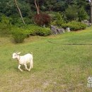 성호농장 이미지