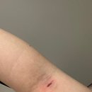 연세소망약국 이미지