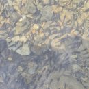 탕곡리마을회관 이미지