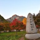 단풍