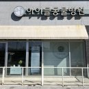 동구종합동물병원 | 전주안과동물병원 만성동 아이들동물병원 안과종합검진 상세후기