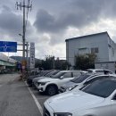 삼월
