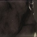 그린아이텍 이미지