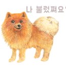 바둑이 애견 이미지