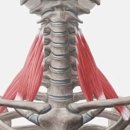 헬스보이짐 장안점 이미지