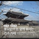 라이브어라이브 | [전주] 내돈내산! 풍남문이 보이는 전주 카페 추천 ‘라이브어라이브’