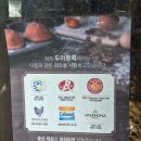 인바이트넷 | [대구 반월당/ 빵지순례 1] 좋은 재료로 똑똑하게 빵을 만드시는 '두아몽떼'