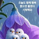 여행클럽 - 수원시 영통구 | 여행클럽