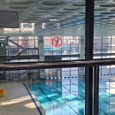 마포아트센터 | 수영기록] 원정자수40. 서울 마포아트센터 자유수영 후기(25.11.22)