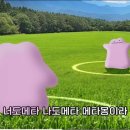 송간목장 네이버블로그