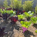 행복나무 요양원 이미지