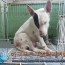 백동로 이미지