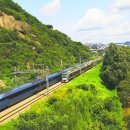 5만 원 혜택을 단돈 19,900원에 이미지